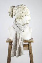 Load image into Gallery viewer, McKernan Huckleberry Alabaster Scarf
